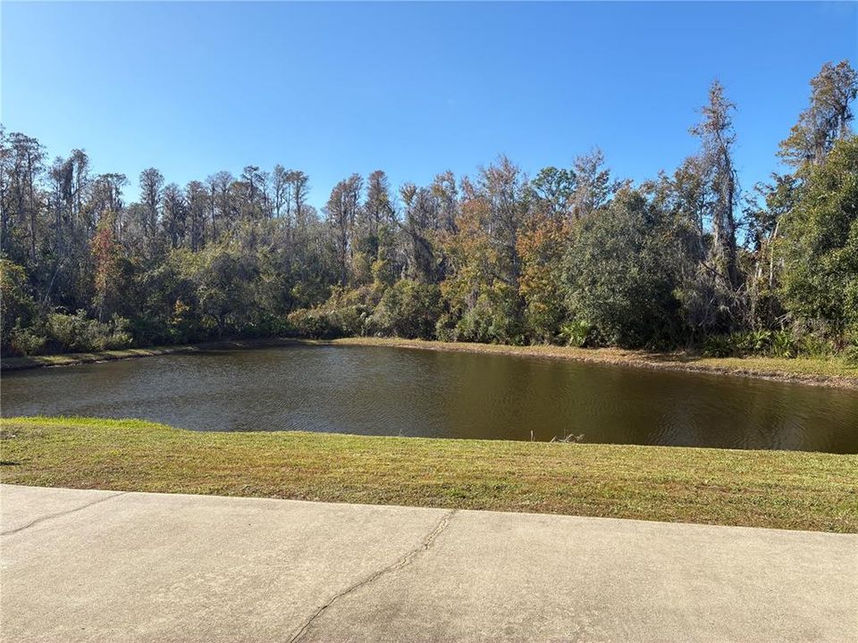 For Rent: $2,600 (4 beds, 2 baths, 2044 Square Feet)