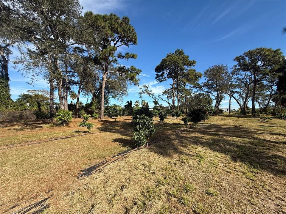 待售: $1,700,000 (0 贝兹, 0 浴室, 0 平方英尺)