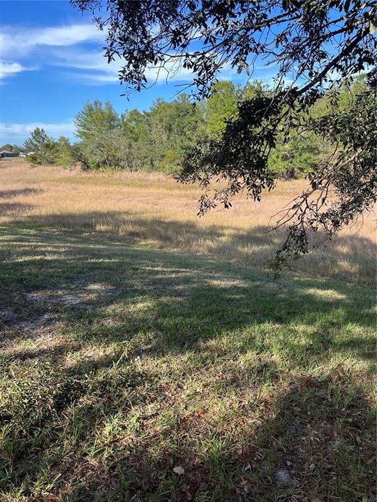 For Sale: $339,000 (3 beds, 2 baths, 1251 Square Feet)