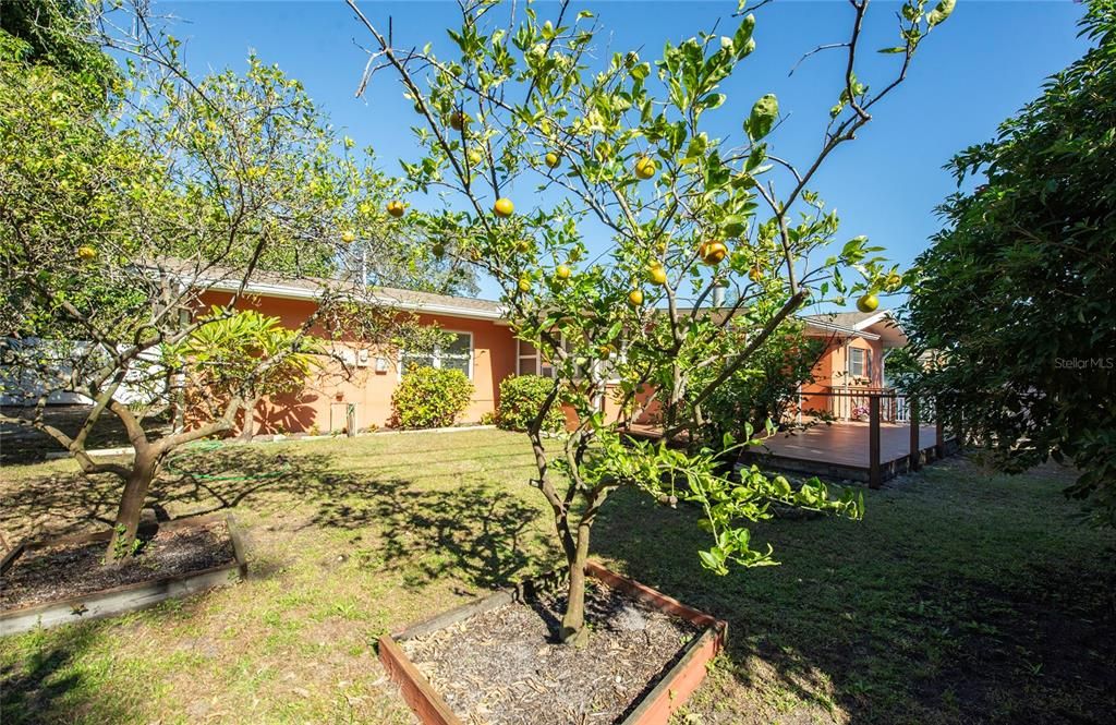 На продажу: $539,000 (3 спален, 2 ванн, 2048 Квадратных фут)