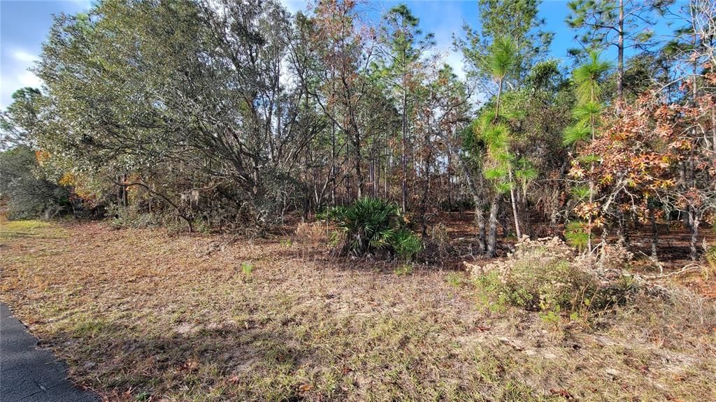 待售: $125,000 (1.01 acres)