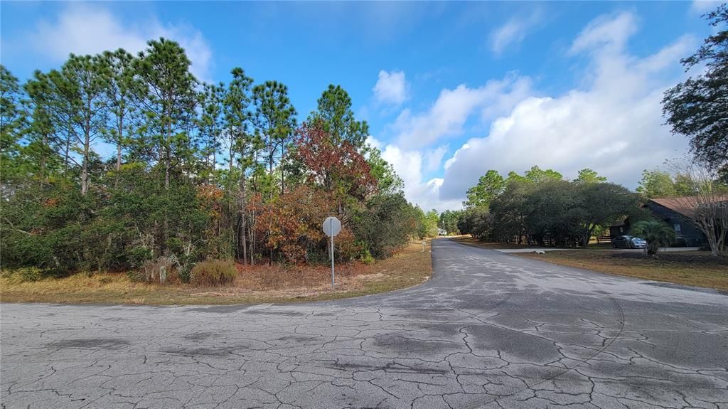 待售: $125,000 (1.01 acres)