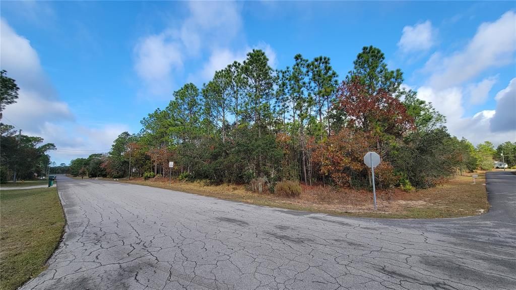 待售: $125,000 (1.01 acres)