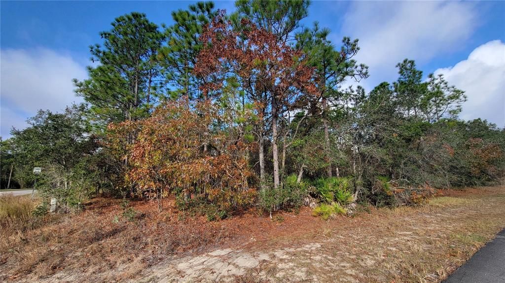 待售: $125,000 (1.01 acres)