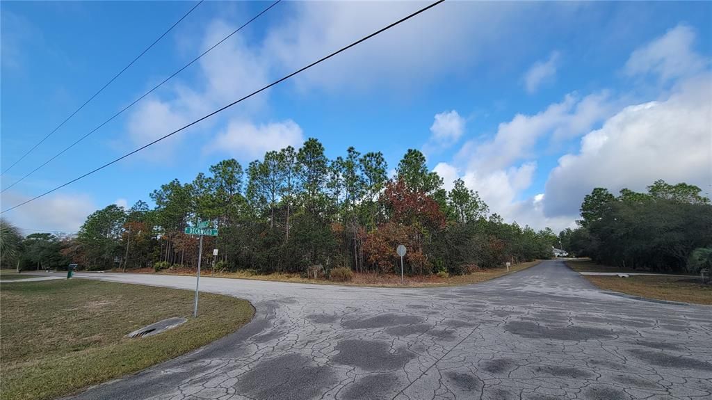 待售: $125,000 (1.01 acres)