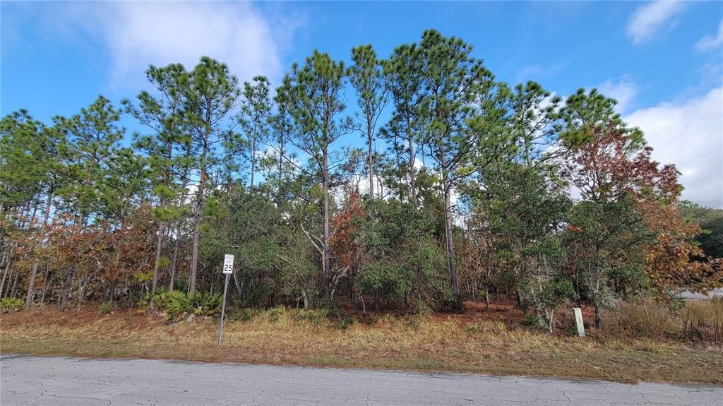 待售: $125,000 (1.01 acres)