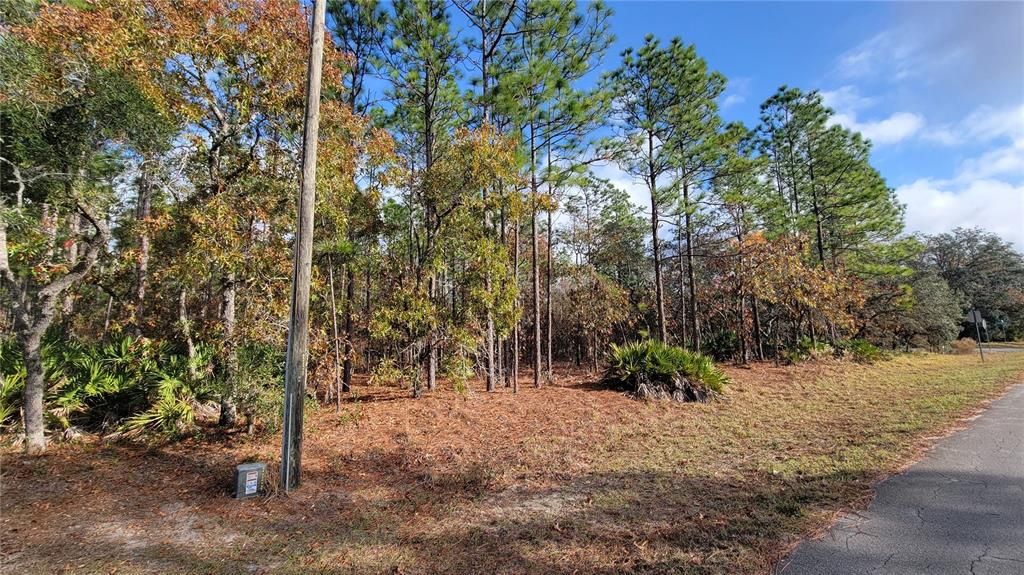 待售: $125,000 (1.01 acres)