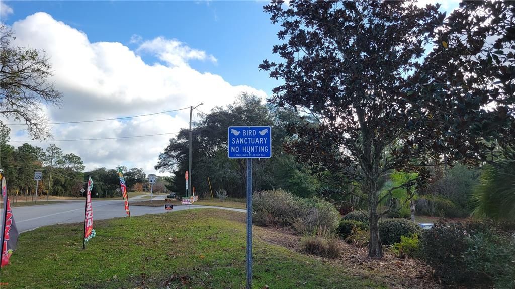 待售: $125,000 (1.01 acres)