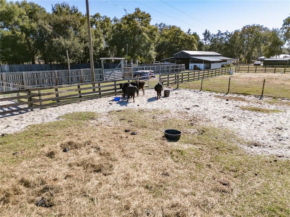 For Sale: $875,000 (2 beds, 1 baths, 1352 Square Feet)