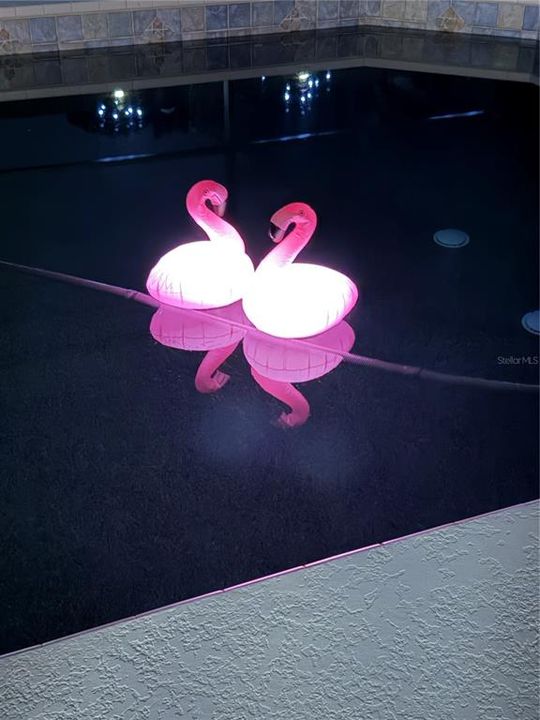 For Sale: $725,000 (3 beds, 2 baths, 1158 Square Feet)