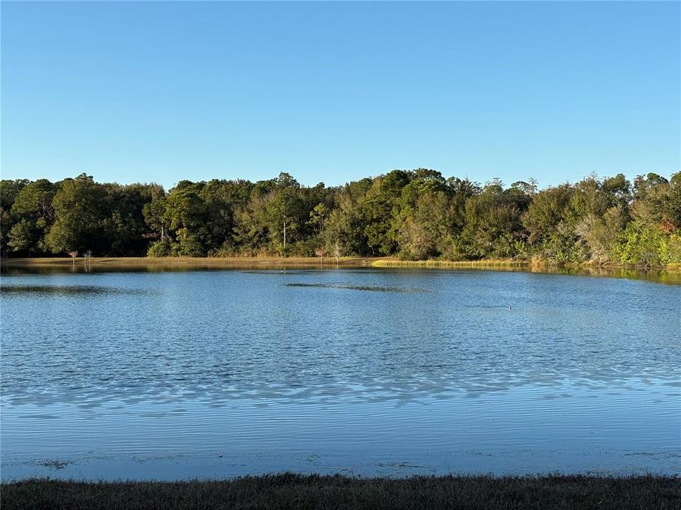 En Venta: $429,990 (3 camas, 2 baños, 1290 Pies cuadrados)