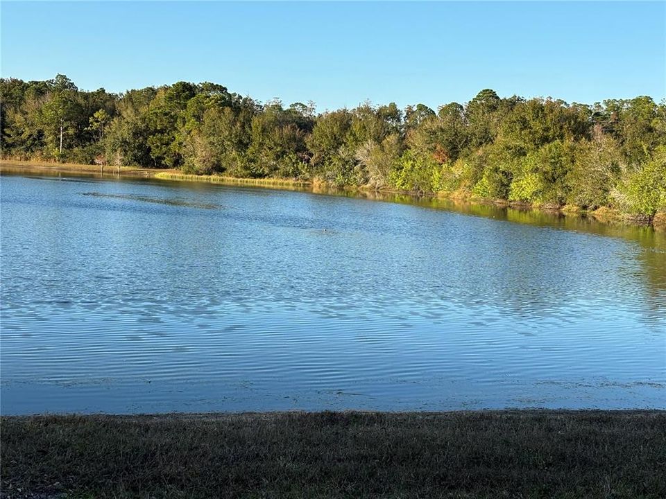 En Venta: $429,990 (3 camas, 2 baños, 1290 Pies cuadrados)