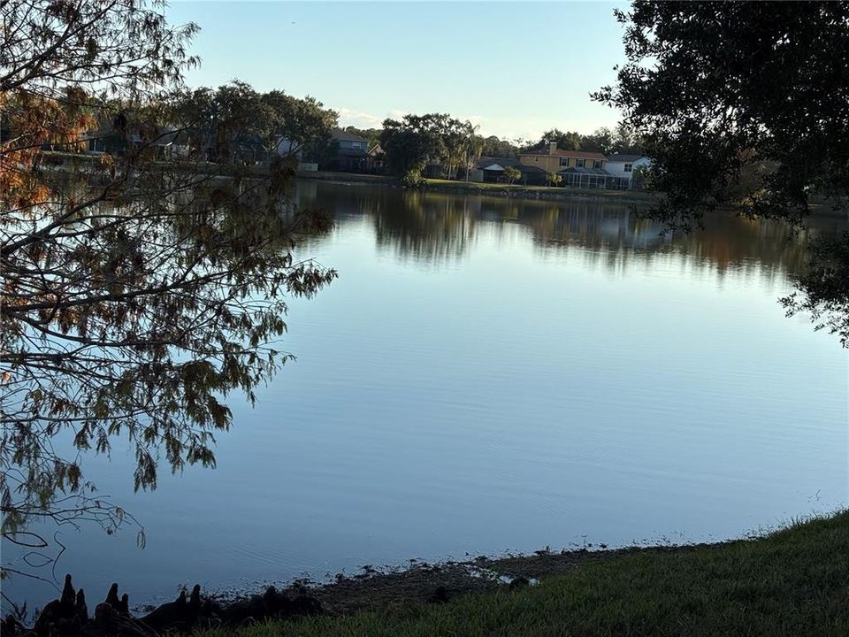 En Venta: $429,990 (3 camas, 2 baños, 1290 Pies cuadrados)