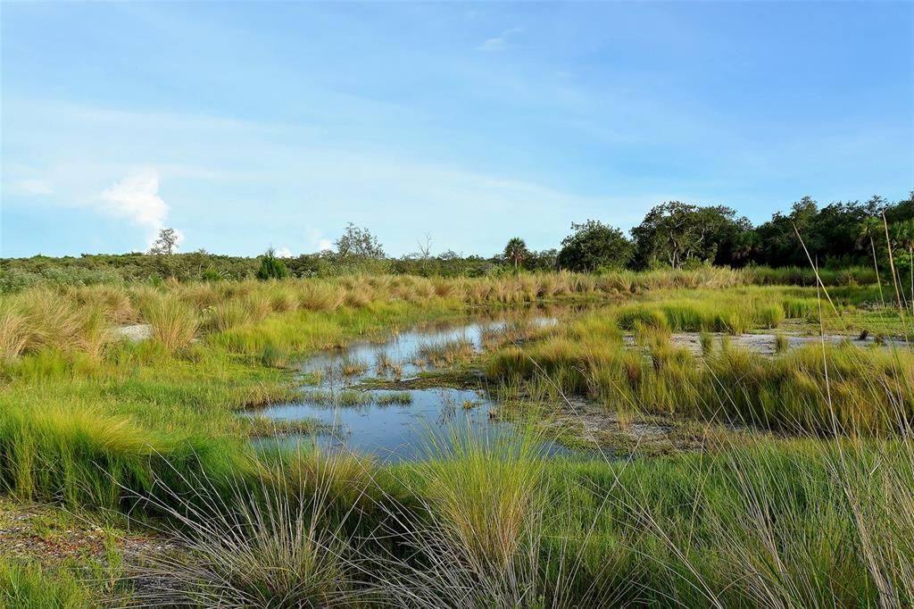 待售: $629,900 (2 贝兹, 2 浴室, 1456 平方英尺)