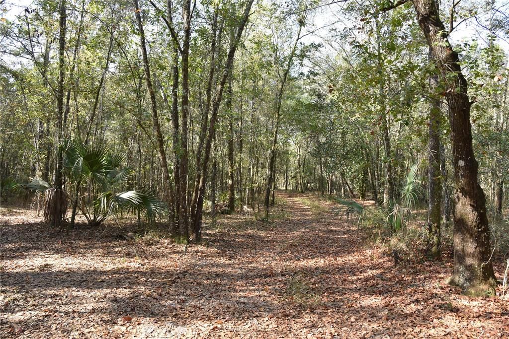 待售: $1,149,000 (96.41 acres)