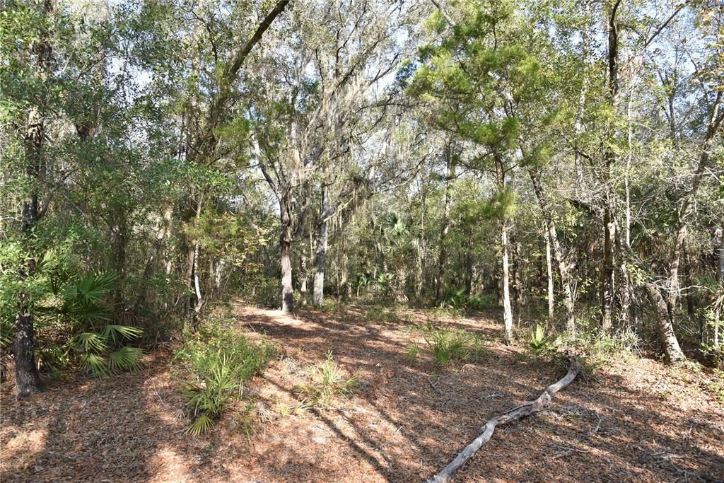 待售: $1,149,000 (96.41 acres)