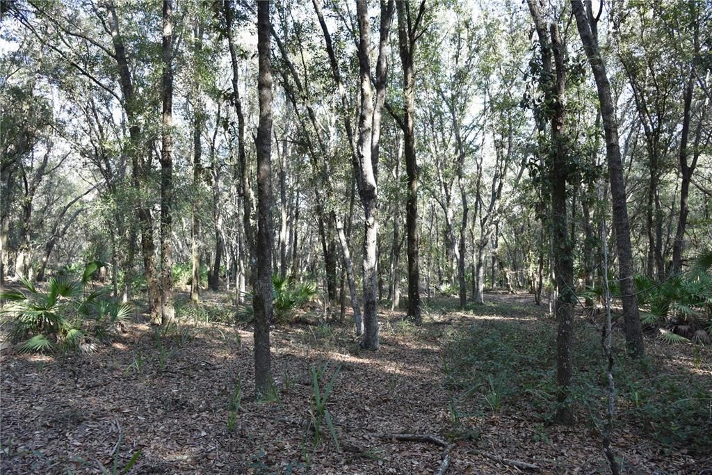 待售: $1,149,000 (96.41 acres)