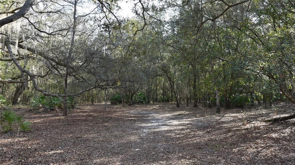 待售: $1,149,000 (96.41 acres)