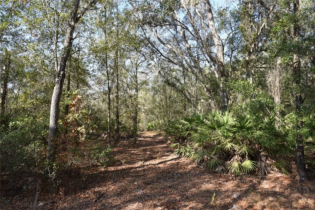 待售: $1,149,000 (96.41 acres)