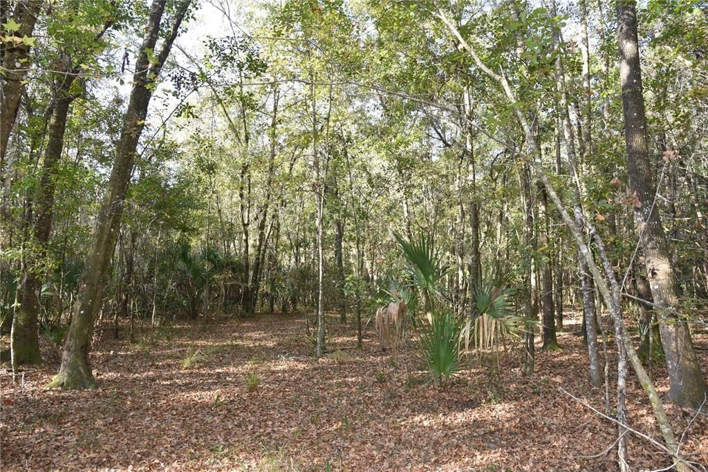 待售: $1,149,000 (96.41 acres)