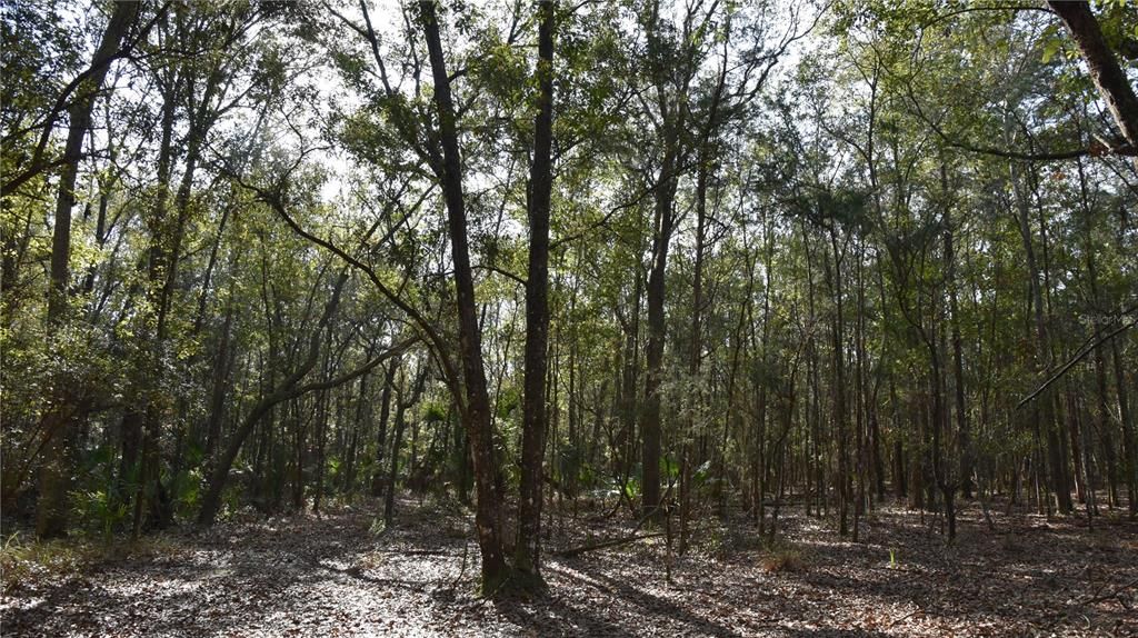 待售: $1,149,000 (96.41 acres)