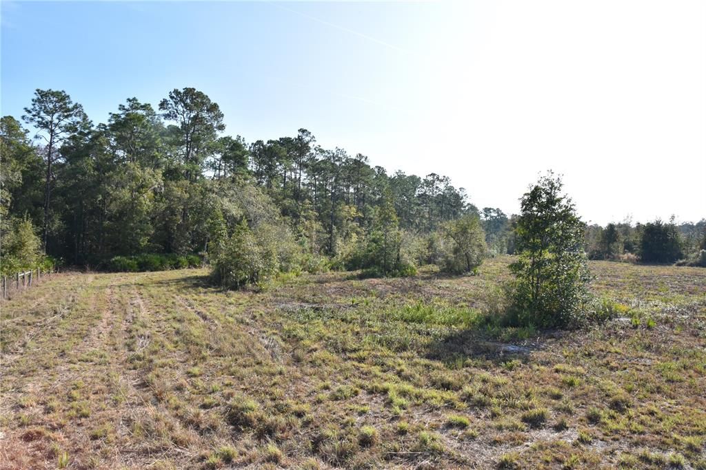 待售: $1,149,000 (96.41 acres)