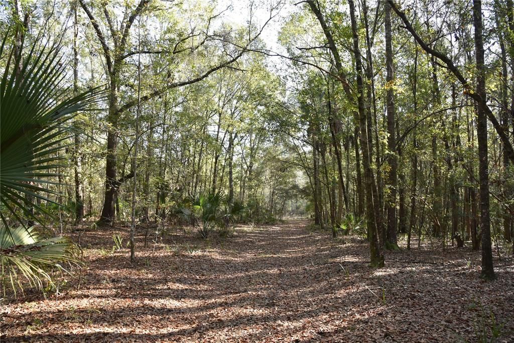 待售: $1,149,000 (96.41 acres)