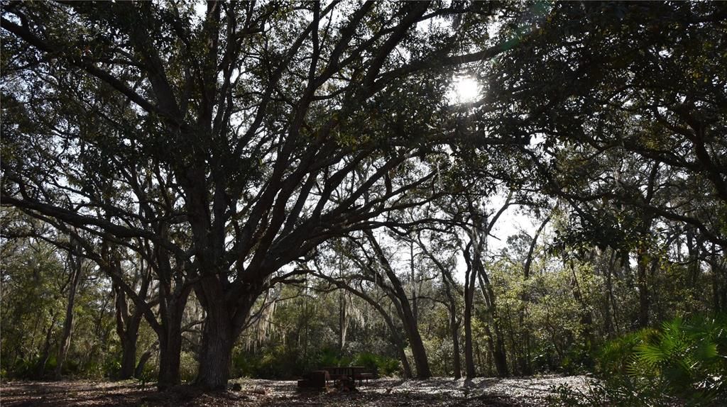 待售: $1,149,000 (96.41 acres)