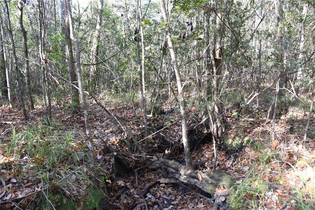 待售: $1,149,000 (96.41 acres)