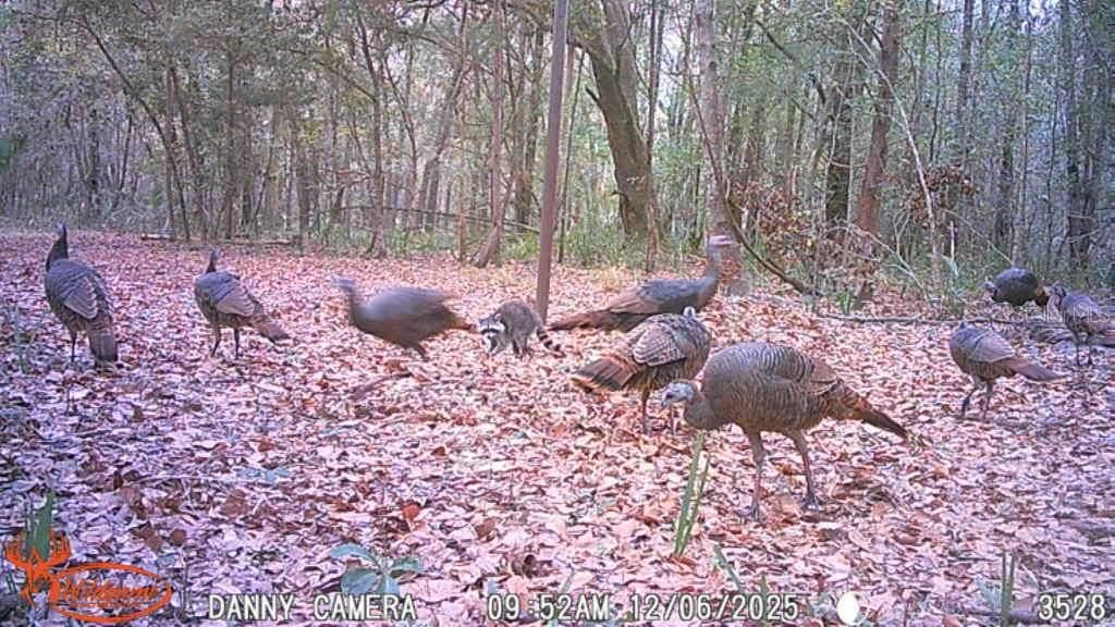 待售: $1,149,000 (96.41 acres)