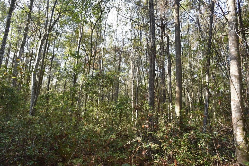 待售: $1,149,000 (96.41 acres)