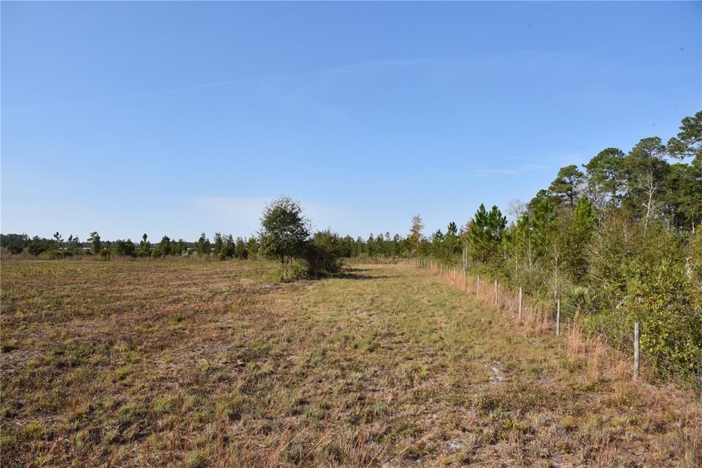 待售: $1,149,000 (96.41 acres)