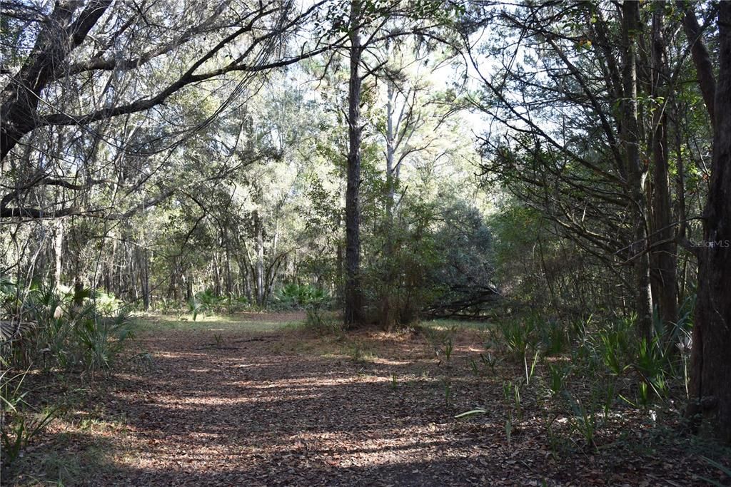 待售: $1,149,000 (96.41 acres)