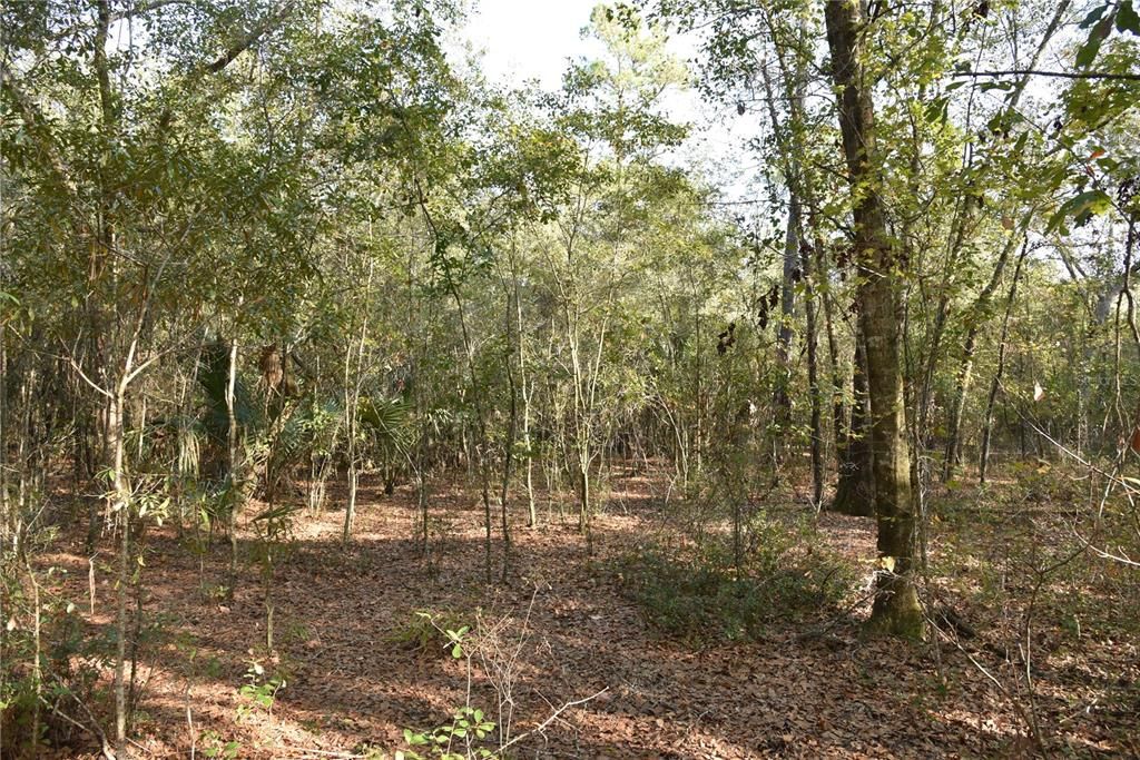 待售: $1,149,000 (96.41 acres)