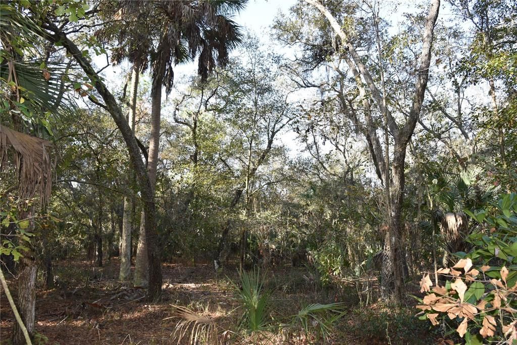 待售: $1,149,000 (96.41 acres)