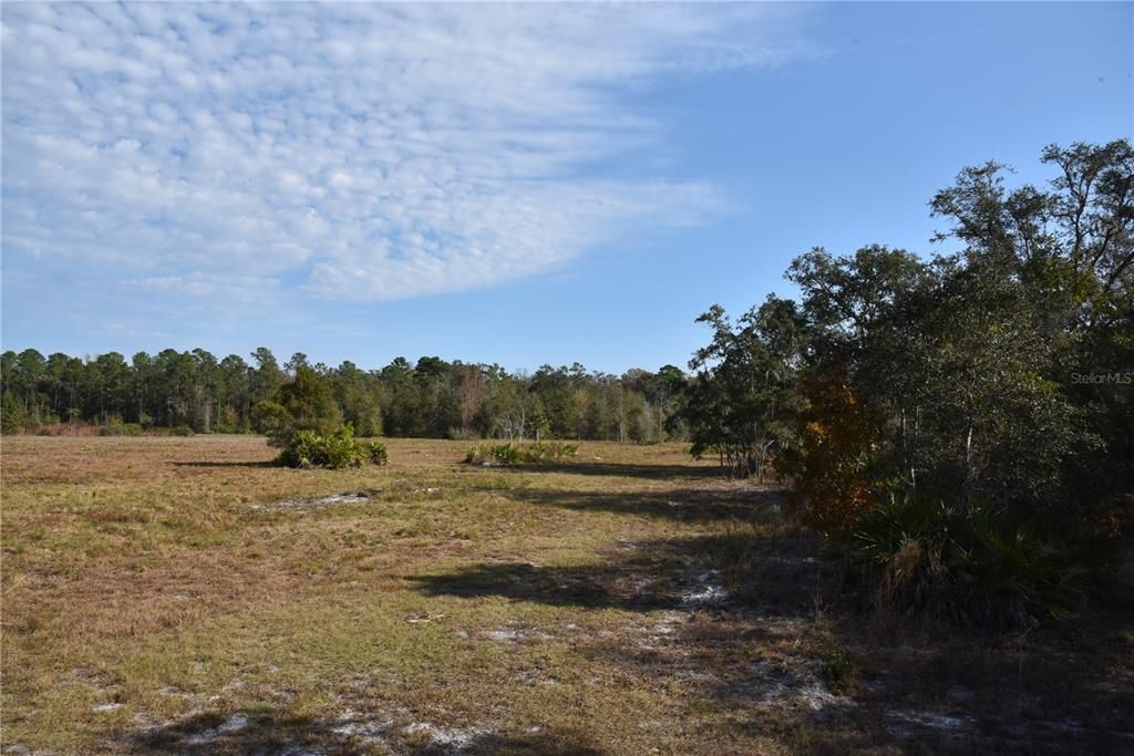 待售: $1,149,000 (96.41 acres)