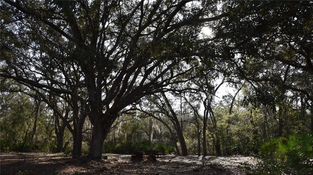 待售: $1,149,000 (96.41 acres)