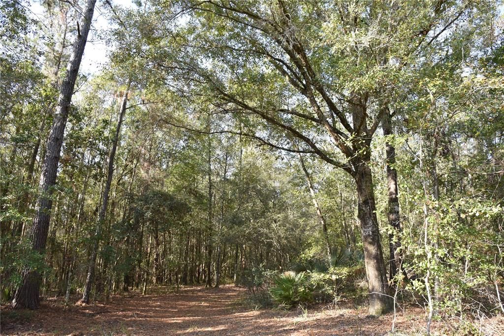 待售: $1,149,000 (96.41 acres)