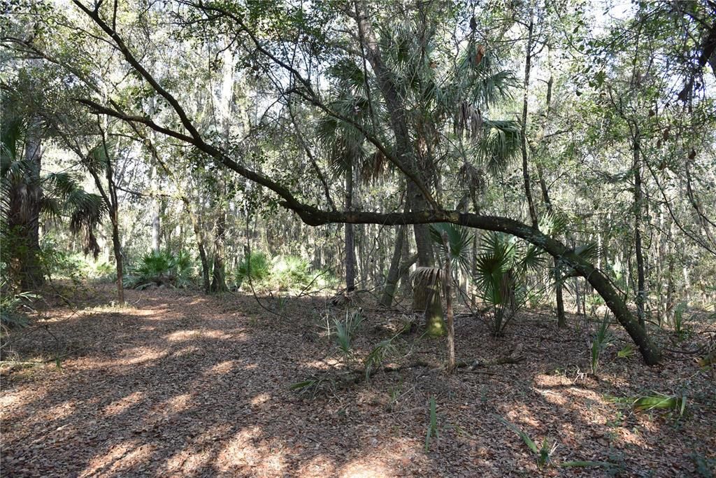 待售: $1,149,000 (96.41 acres)