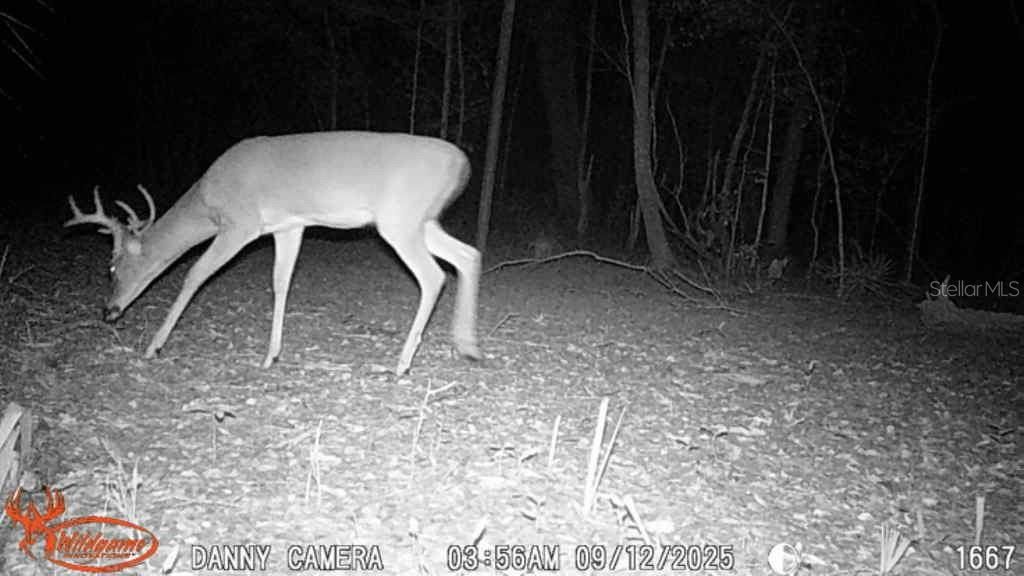 待售: $1,149,000 (96.41 acres)