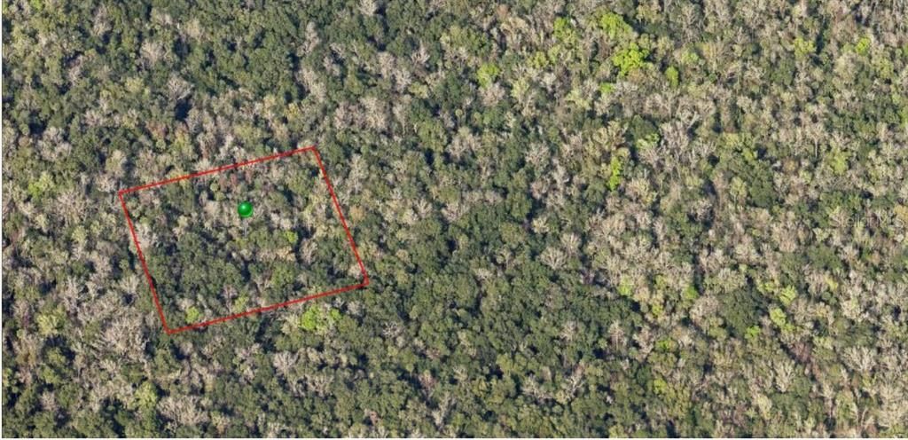 En Venta: $10,000 (2.50 acres)