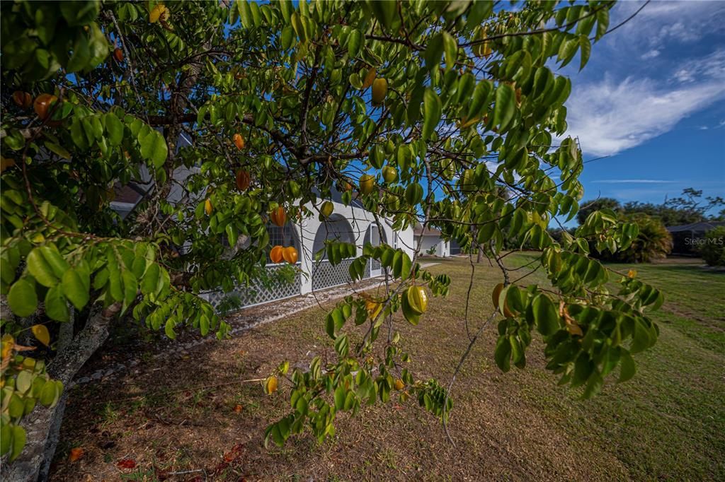 For Sale: $425,000 (3 beds, 3 baths, 2943 Square Feet)