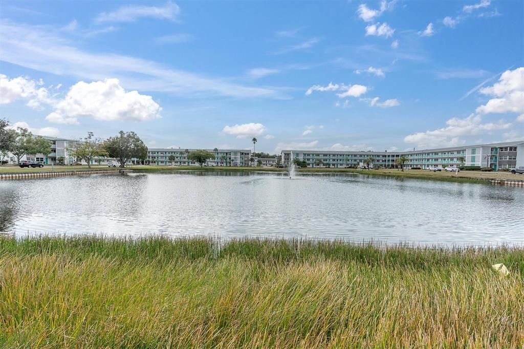 合同活跃: $59,900 (1 贝兹, 1 浴室, 680 平方英尺)