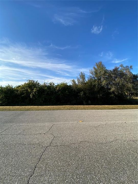 На продажу: $21,900 (0.28 acres)