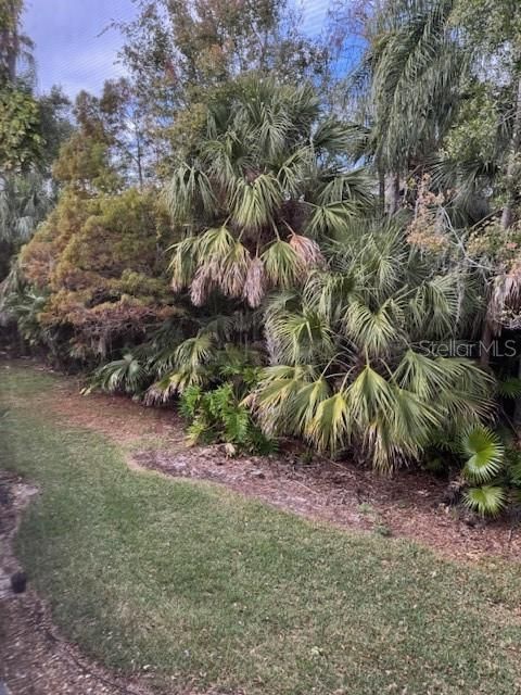 For Rent: $1,500 (2 beds, 2 baths, 982 Square Feet)