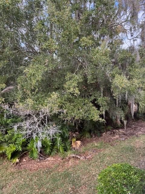 For Rent: $1,500 (2 beds, 2 baths, 982 Square Feet)