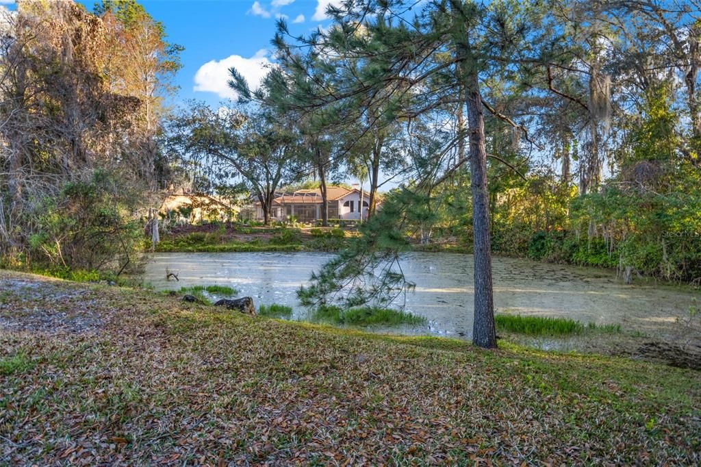 For Rent: $5,000 (4 beds, 3 baths, 3186 Square Feet)