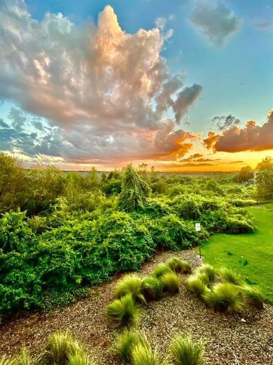 На продажу: $390,000 (3 спален, 2 ванн, 2260 Квадратных фут)