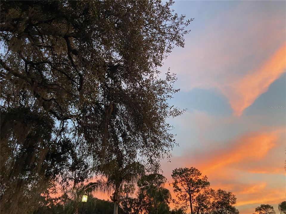 На продажу: $390,000 (3 спален, 2 ванн, 2260 Квадратных фут)