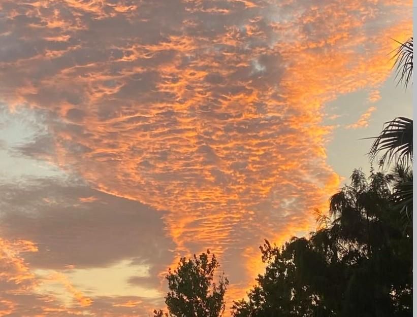 На продажу: $390,000 (3 спален, 2 ванн, 2260 Квадратных фут)